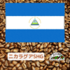 ニカラグアSHG　100g