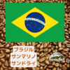ブラジル・サンマリノ・サンドライ（樹上乾燥）100g