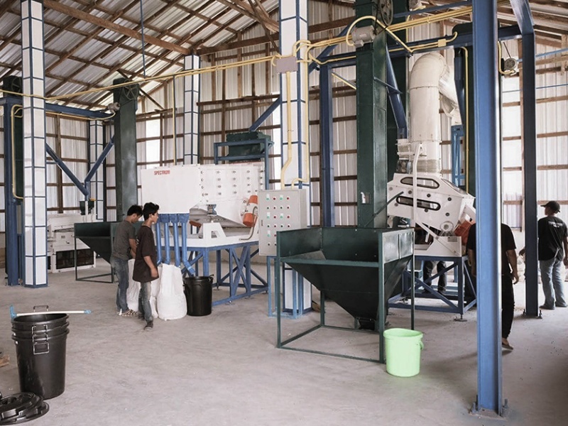 タイ・ドイパンコン・メーラーク・イエローハニー - 画像 (6)