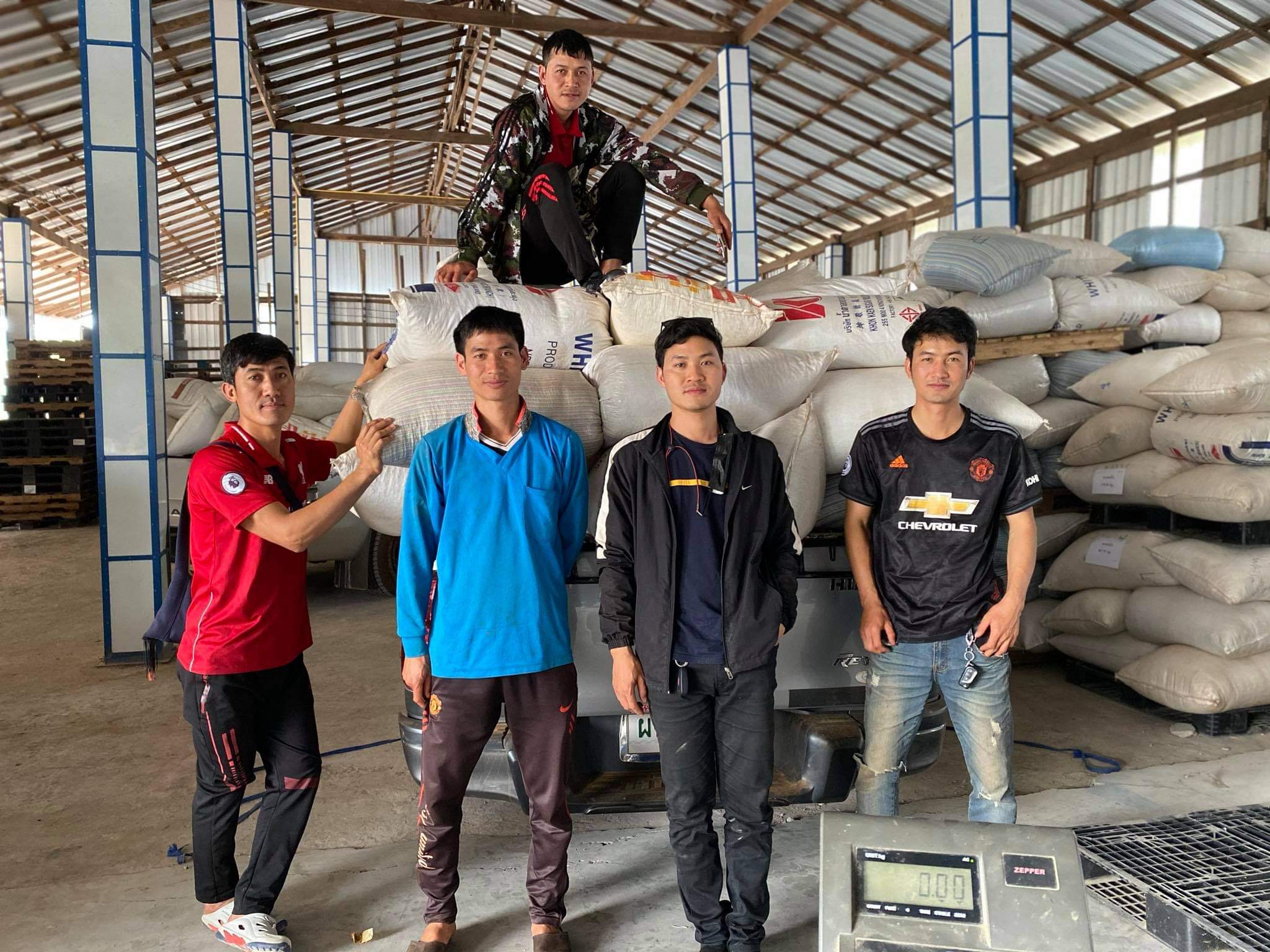 タイ・ドイパンコン・メーラーク・イエローハニー - 画像 (5)