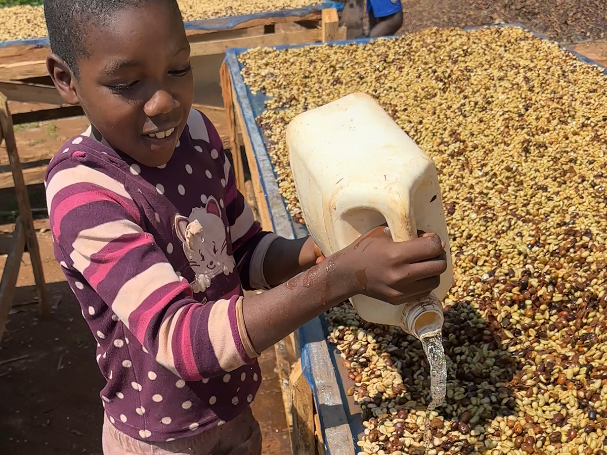 ネパール・ヒマラヤン・イエティ 100g - 画像 (5)