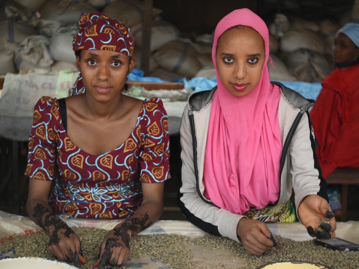 ネパール・ヒマラヤン・イエティ 100g - 画像 (6)