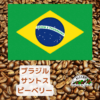 ブラジル・サントス・ピーベリー　100g