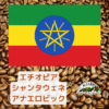 エチオピア・シダモG1・シャンタウェネ（アナエロビック）100ｇ